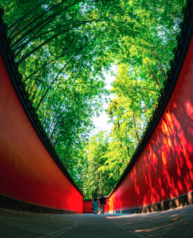 A bamboo canopy over red walls