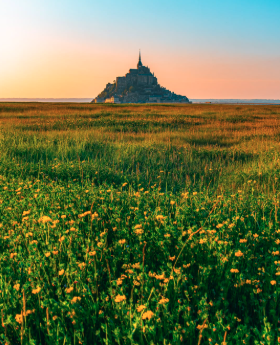 A landmark seen beyond a meadow
